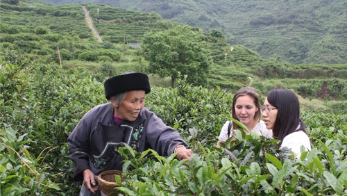 湖南省茶業(yè)集團(tuán)股份有限公司產(chǎn)教融合校企合作三年規(guī)劃(huà)（2022-2024年）