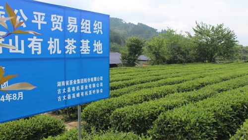 誠(chéng)邀新零售品牌策劃(huà)合作夥伴的公告
