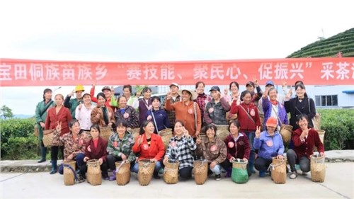 會(huì)同寶田侗族苗族鄉(xiāng)在集團(tuán)瀟湘茶業(yè)會(huì)同寶田有機(jī)茶基地開(kāi)展採茶培訓(xùn)